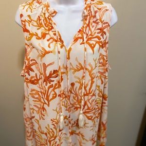 Last chance❗️Coral tank